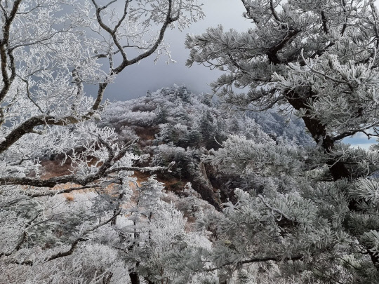 <국립공원공단 페이스북>
